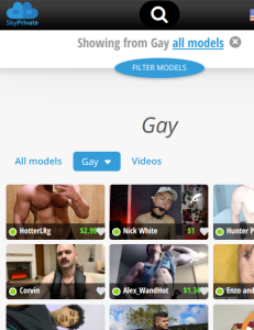 gay skype cams