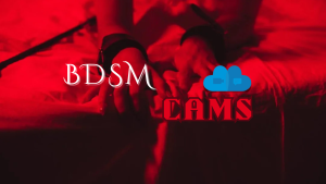 Experience Private BDSM Sex Cams with CamGirls, Webcam Models on Skype – C2C, Cam2Cam